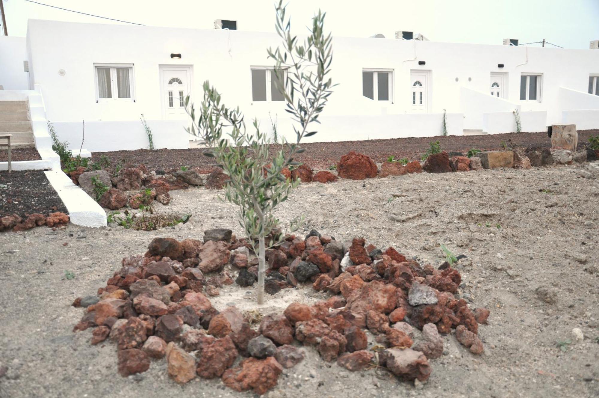 Calma Eco Houses Sunset View Emporio  المظهر الخارجي الصورة