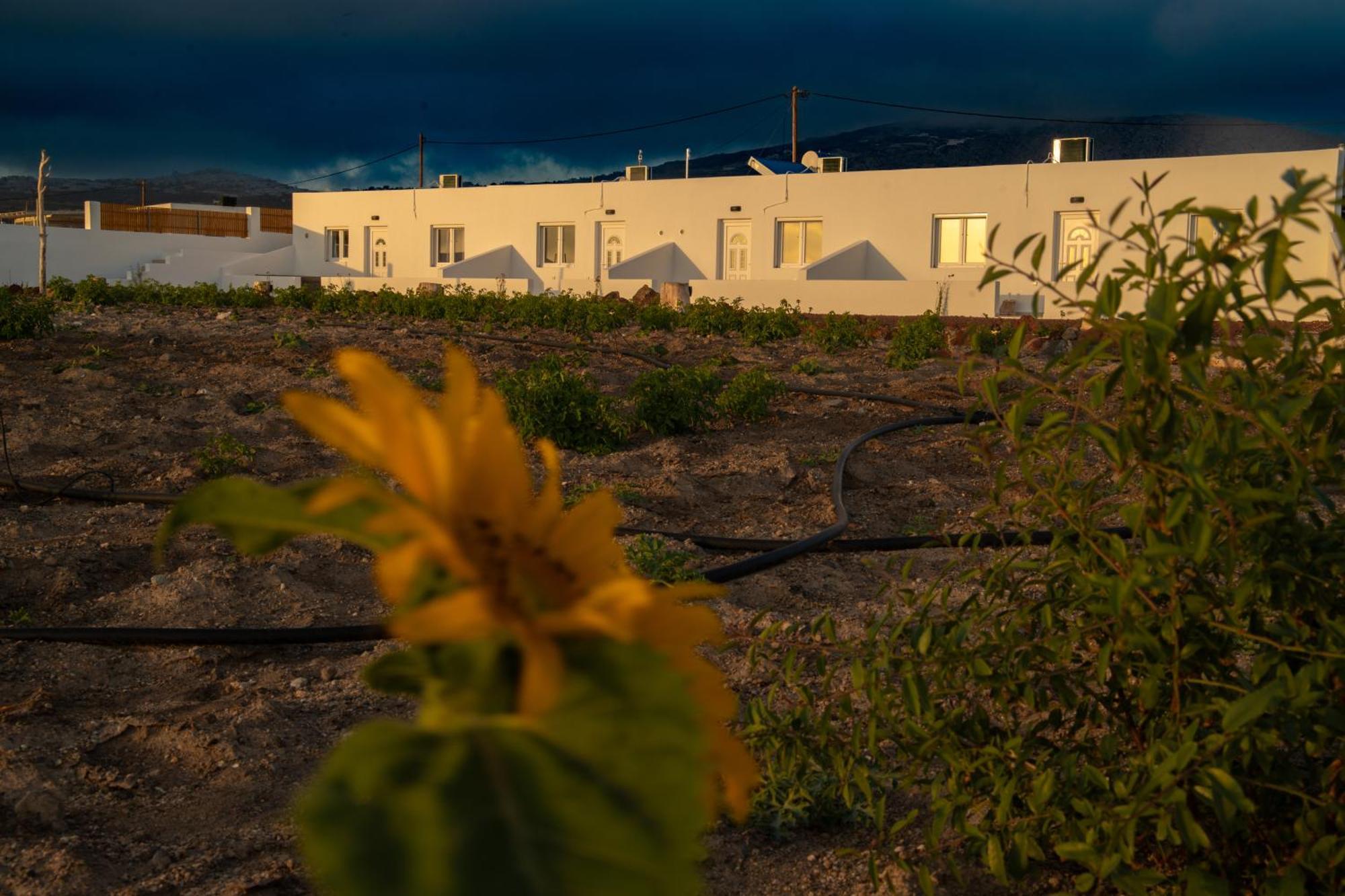 Calma Eco Houses Sunset View Emporio  المظهر الخارجي الصورة