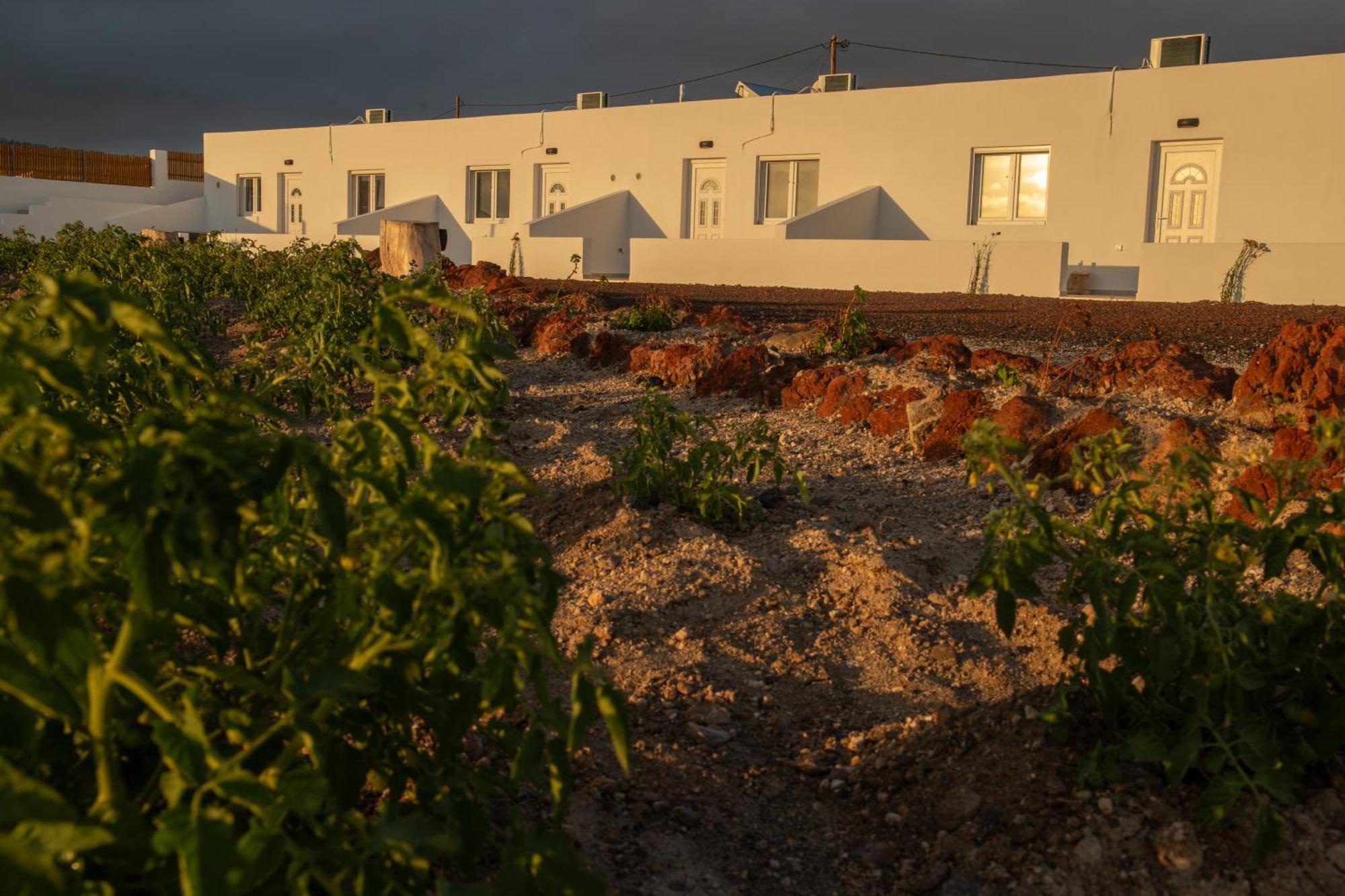 Calma Eco Houses Sunset View Emporio  المظهر الخارجي الصورة